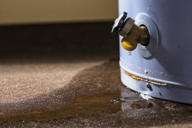 Reliable NC Water damage restoration Solutions