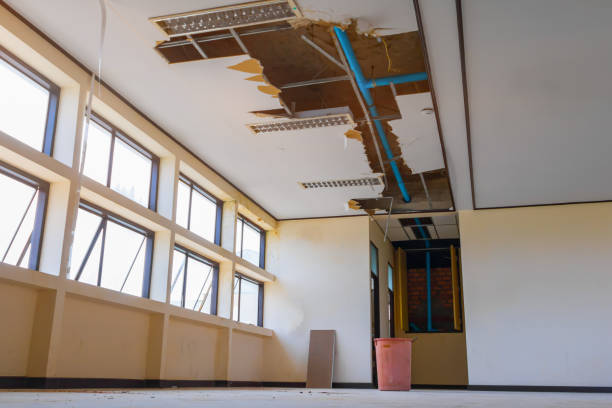 Best Water damage restoration process  in Balfour, NC