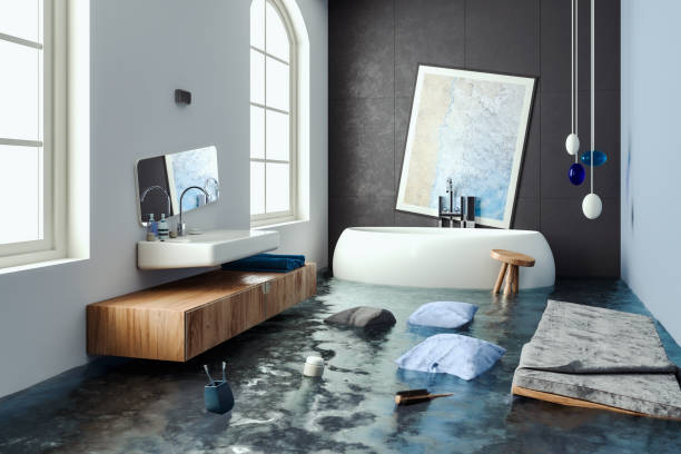 Best Water damage restoration near me  in Balfour, NC