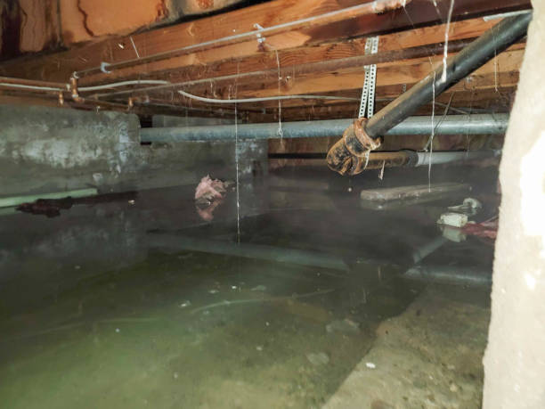 Best Fire Damage Restoration  in Balfour, NC