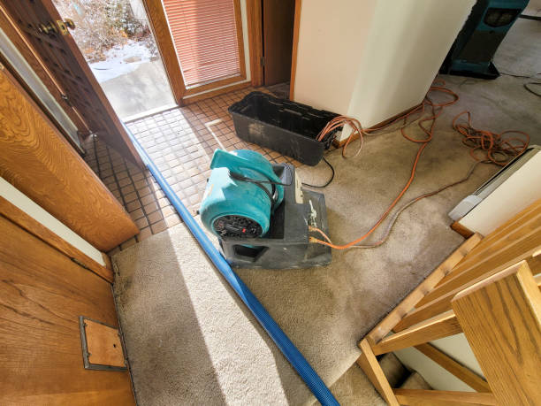 Best Water damage restoration experts  in Balfour, NC