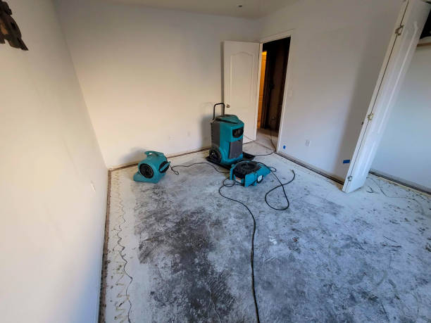 Best 24-hour water damage restoration  in Balfour, NC
