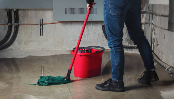  Balfour, NC Water damage restoration Pros