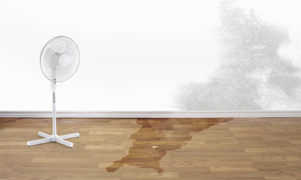 Best Flood damage cleanup  in Balfour, NC